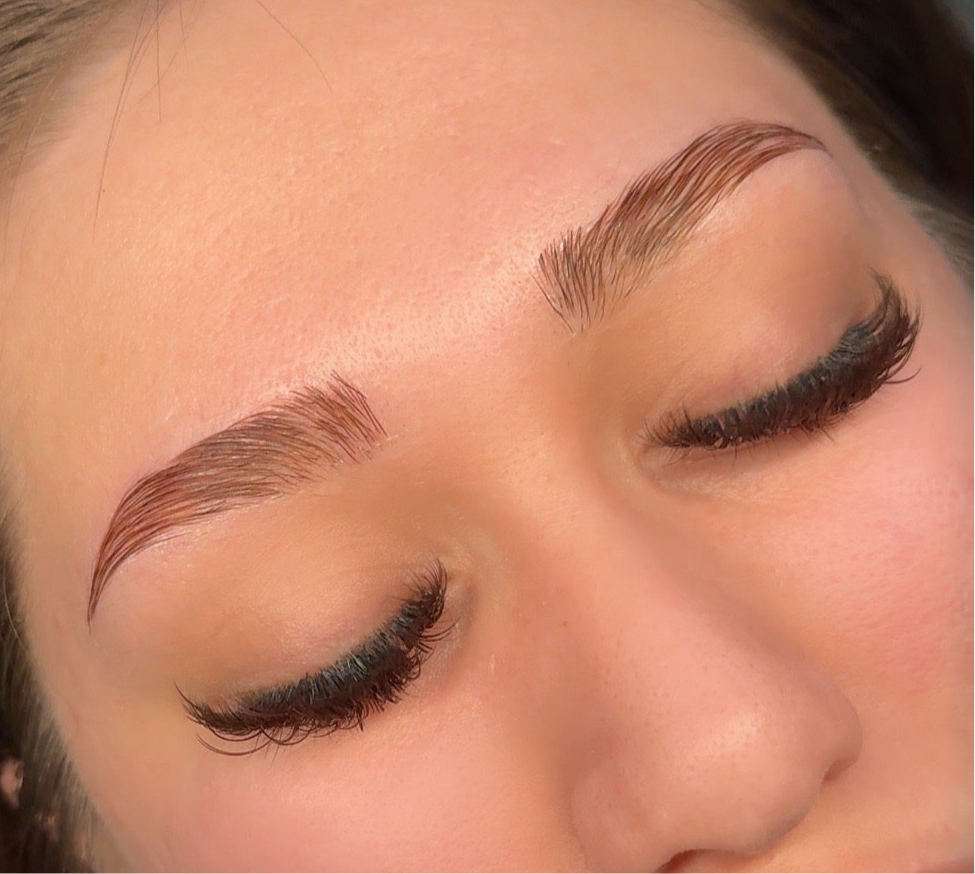 Brow Lamination & Brow Tint Training